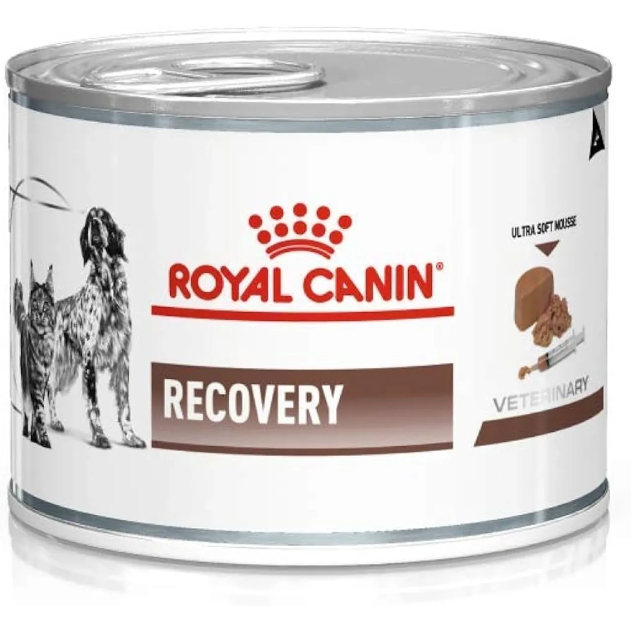 Royal Canin Recovery Pate Yoğun Bakım Maması 195 Gr
