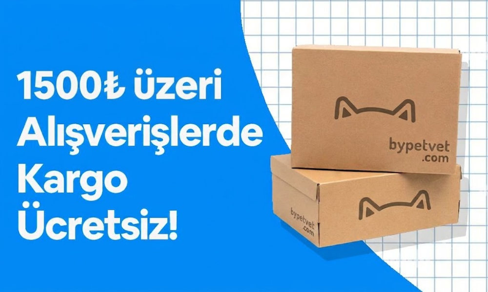 Aksesuar ve oyuncaklar
