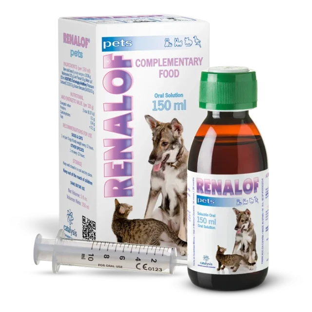 Catalysis Renalof 150 ml Oral Süspansiyon