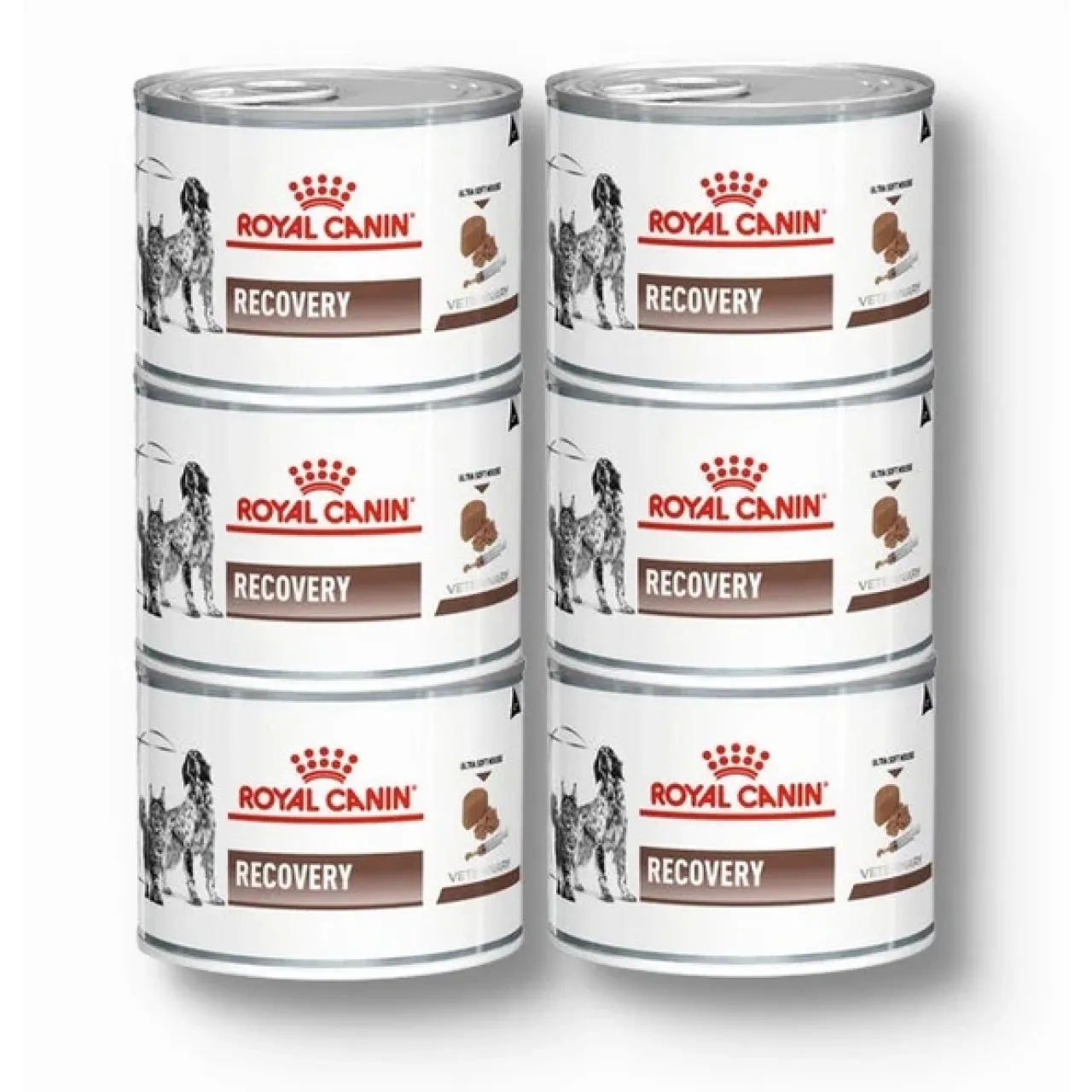 Royal Canin Recovery Yetişkin Kedi ve Köpek Konservesi 6x195 gr