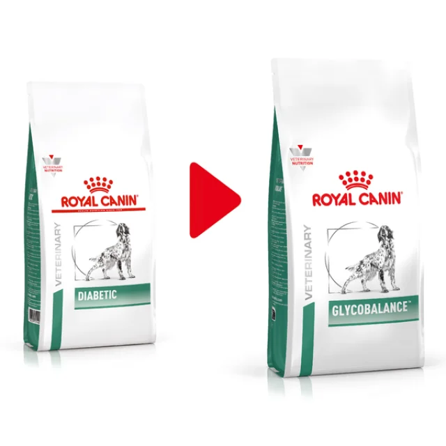 Royal Canin Diabetic (Glycobalance) Köpek Maması 1.5Kg