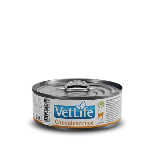VetLife Convalescence Kedi Konserve Yaş Mama 85 gr
