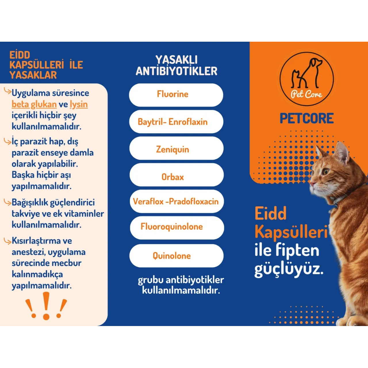 Petcore Multivit-f EIDD Fip Kapsülü 90 Kapsül