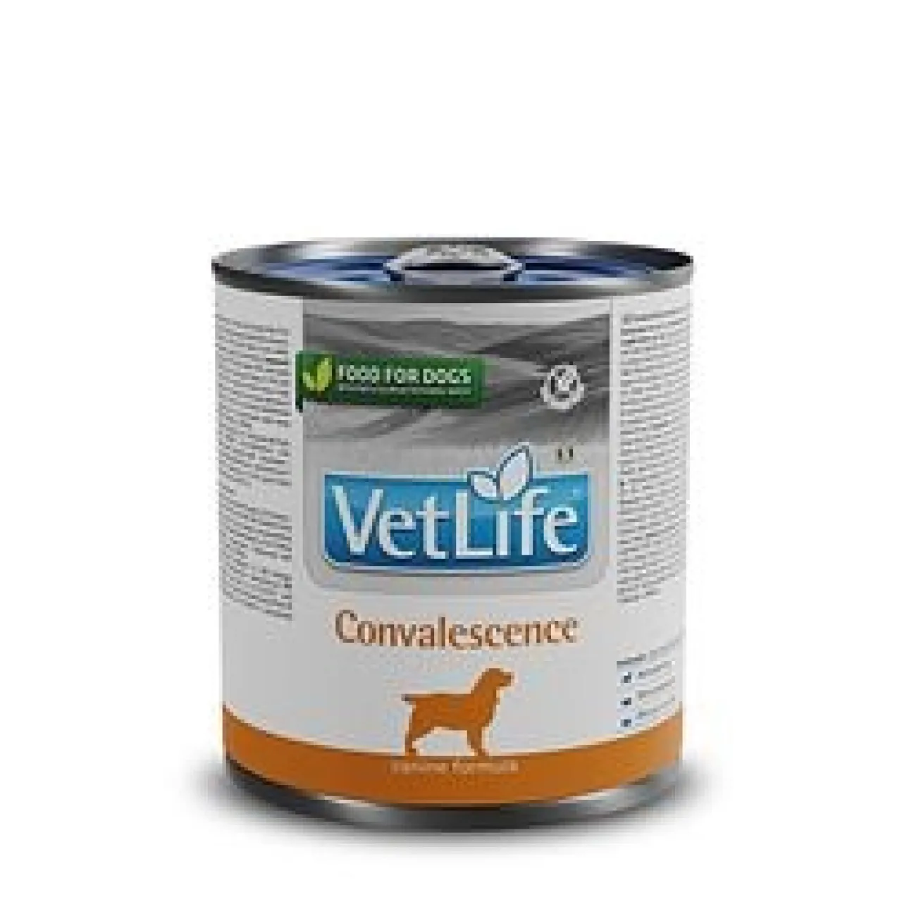 Vetlife Convalescence Köpek 300 gr Konserve Mama