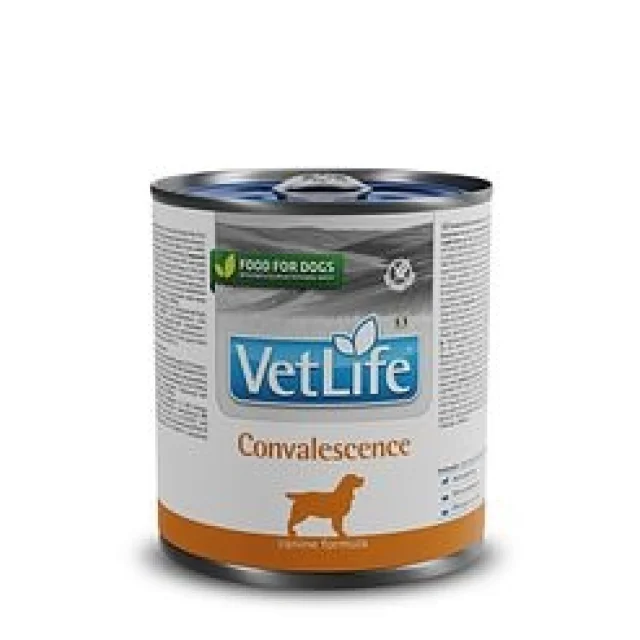 Vetlife Convalescence Köpek 300 gr Konserve Mama