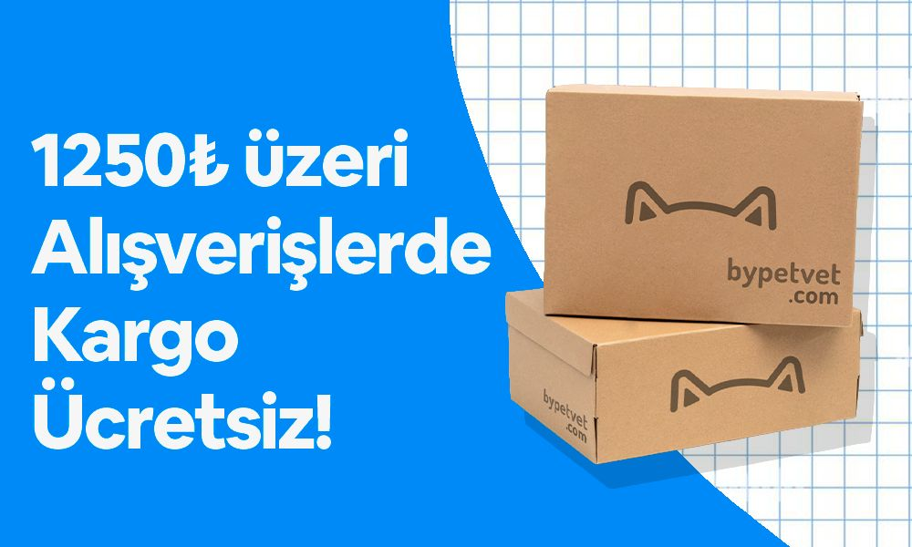 Aksesuar ve oyuncaklar