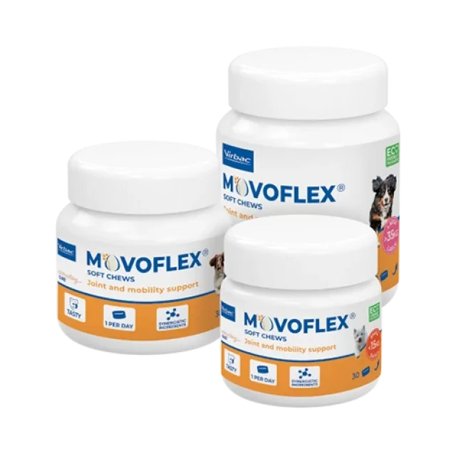 Virbac Movoflex Large 30X6 GR Eklem Desteği