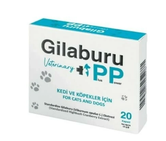 Gilaburu Kedi Köpek İdrar Yolları Koruyucu Urinary Uriner 20 Tablet