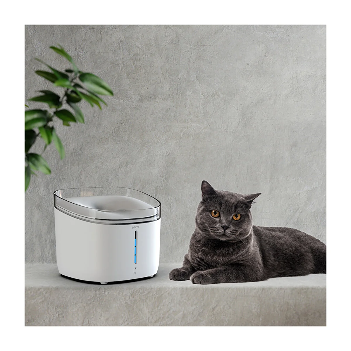 Bilicra Hydra Akıllı Otomatik Su Kabı