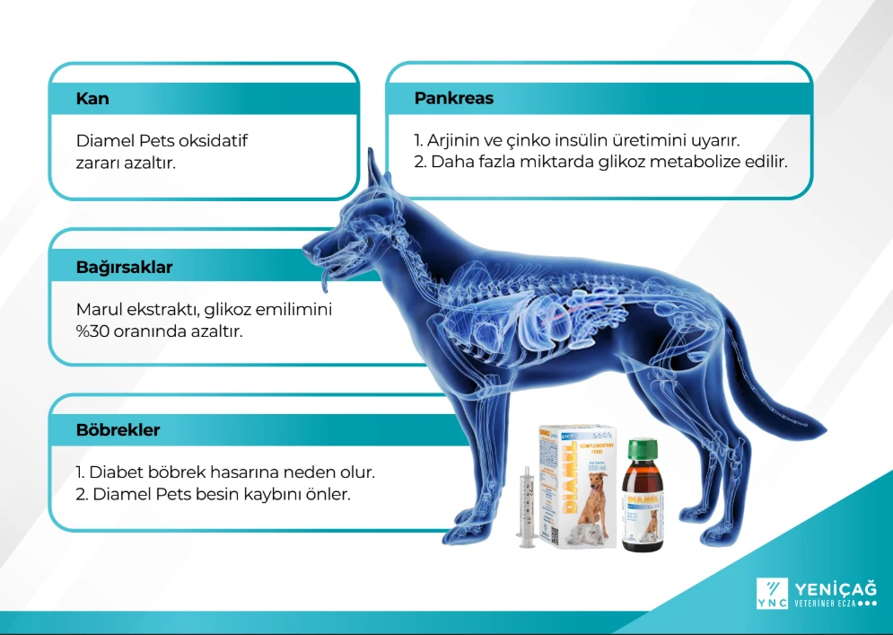 Catalysis Diamel 150 ml Oral Süspansiyon