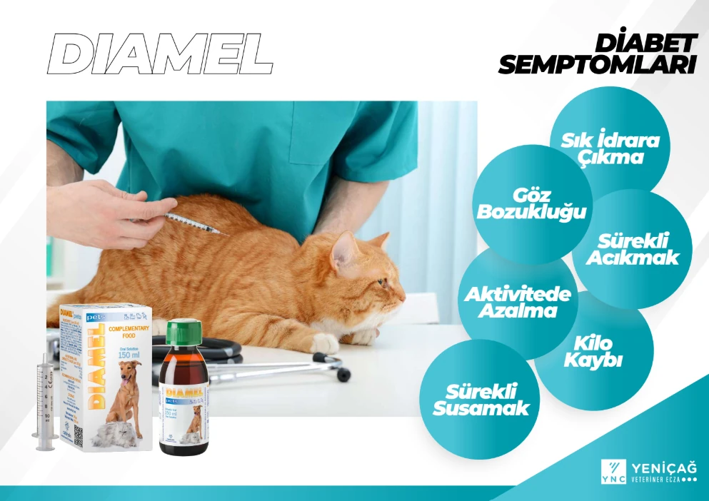 Catalysis Diamel 30 ml Oral Süspansiyon