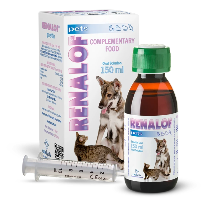 Catalysis Renalof 150 ml Oral Süspansiyon