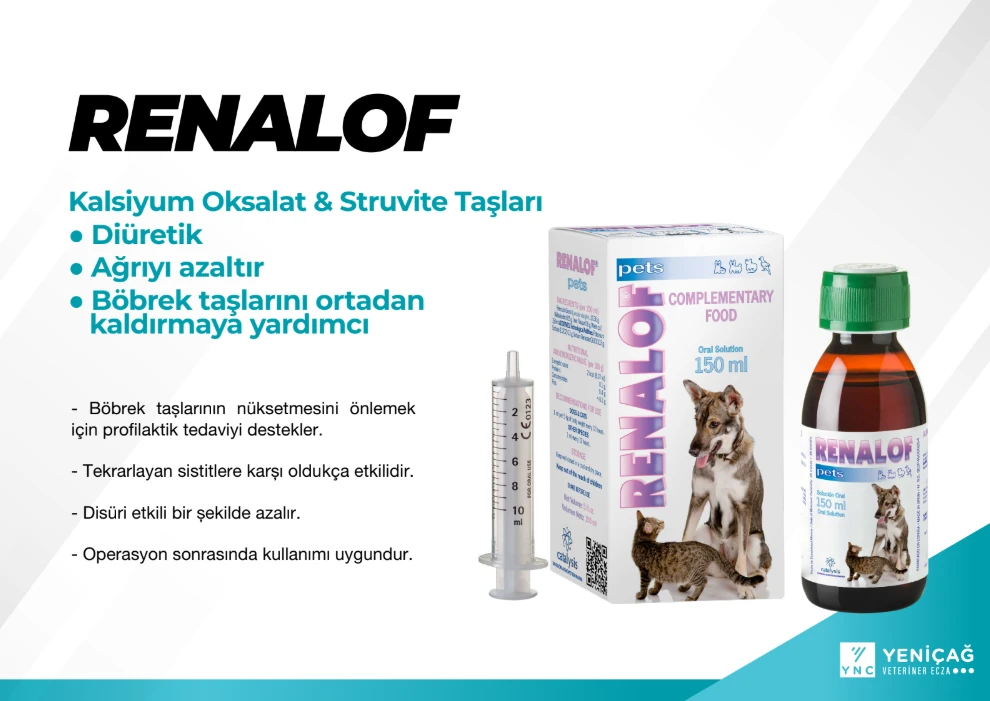 Catalysis Renalof 150 ml Oral Süspansiyon