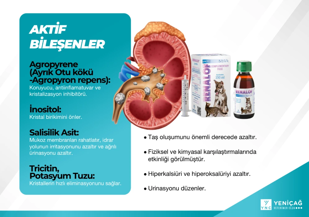 Catalysis Renalof 150 ml Oral Süspansiyon
