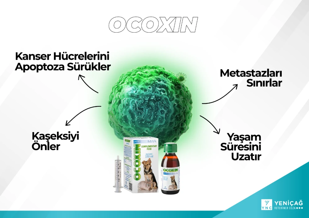 Ocoxin 150 ml Oral Süspansiyon
