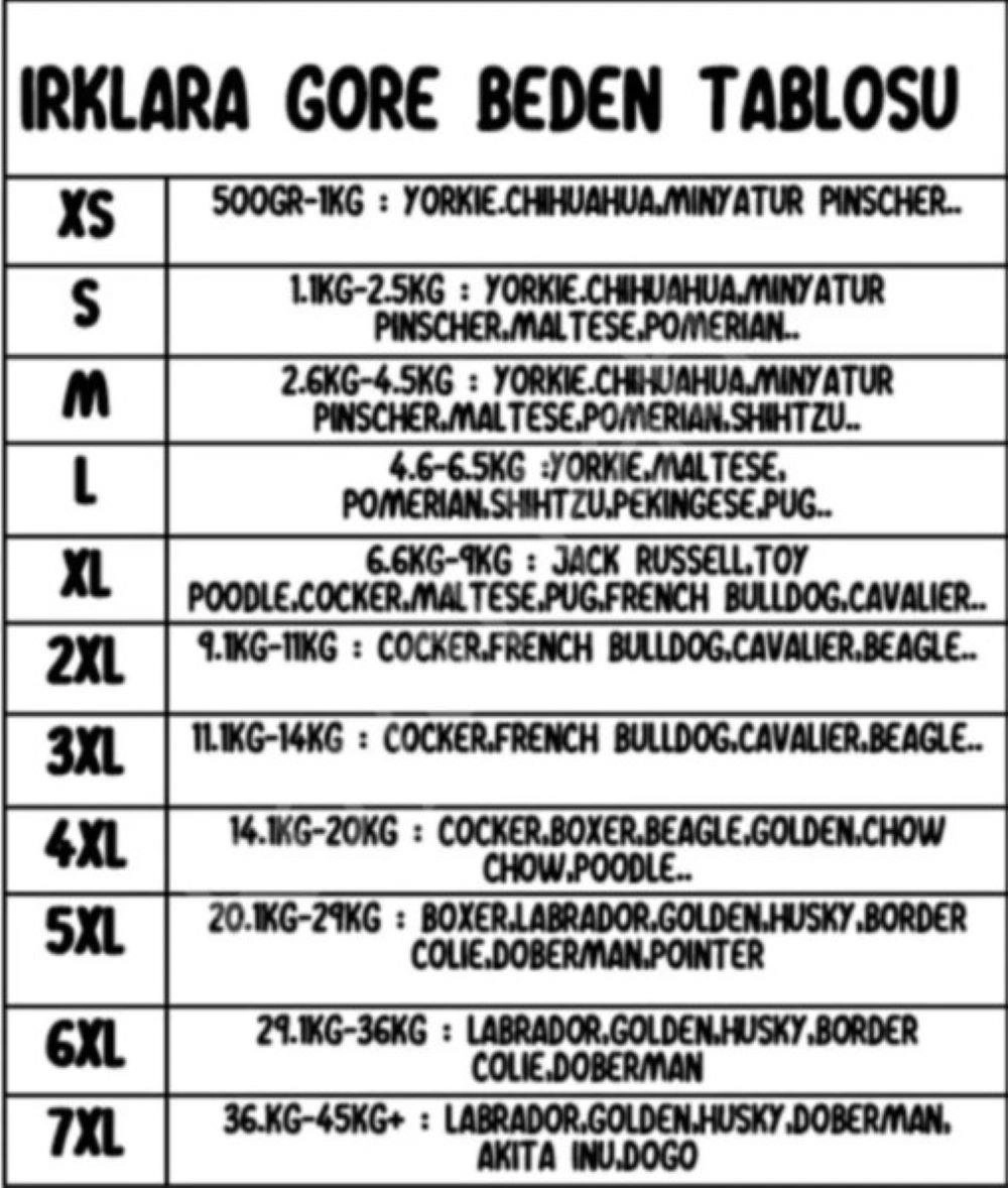 Pawstar Skyscraper Polarlı Orta-Büyük Irk Köpek Sweatshirtü