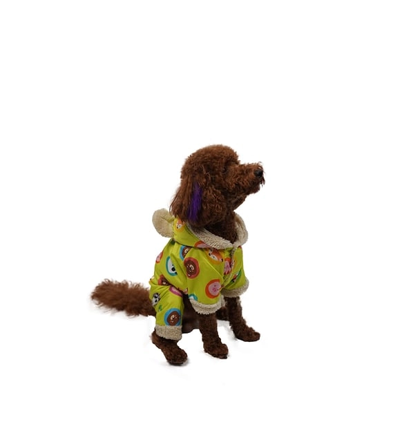 Pawstar Yeşil Animals Romper Küçük Ve Orta Irklar Için Tulum-mont Yağmurluk Köpek Kıyafeti