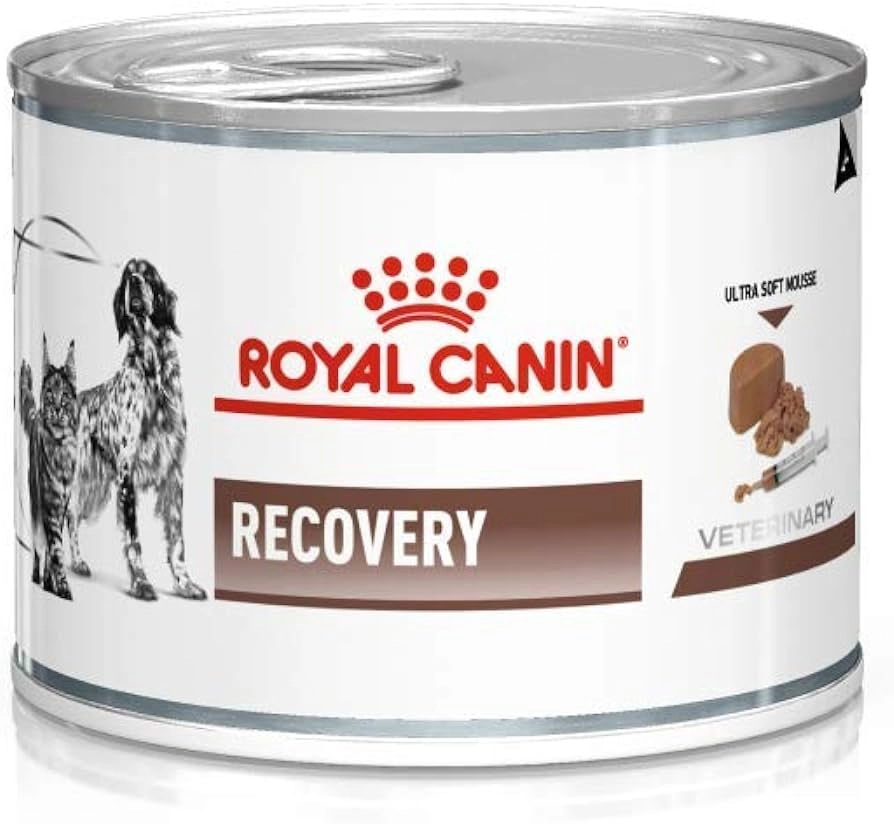 Royal Canin Recovery Pate Yoğun Bakım Maması 195 Gr