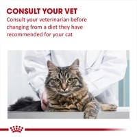 Royal Canin Renal Select Kedi Maması 2 Kg