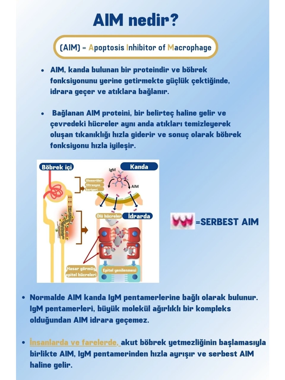 Sunrise Aim30 Kediler için Böbrek Takviyesi 3,2 grx7 şaşe