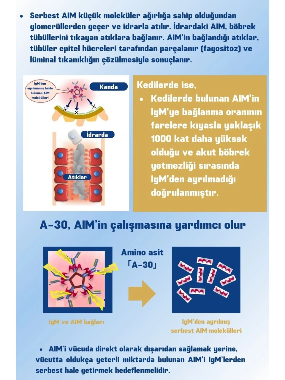 Sunrise Aim30 Kediler için Böbrek Takviyesi 3,2 grx7 şaşe
