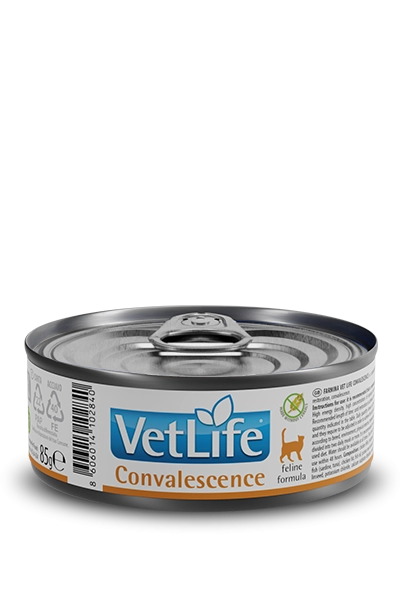 VetLife Convalescence Kedi Konserve Yaş Mama 85 gr