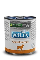 Vetlife Convalescence Köpek 300 gr Konserve Mama