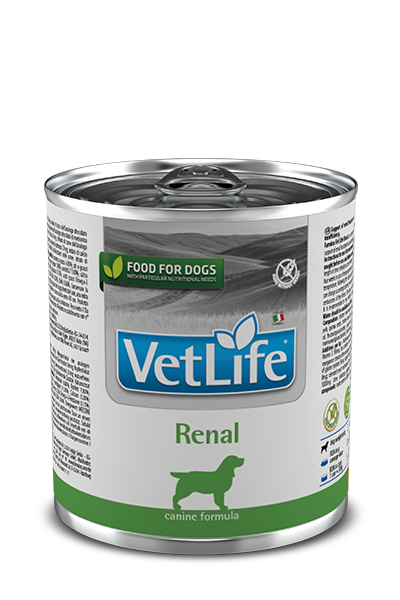 VetLife Renal Konserve Köpek Maması 300 gr