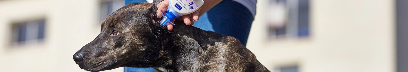 Virbac Ear Clean Kedi ve Köpek Kulak Temizleme Solüsyonu 100 Ml