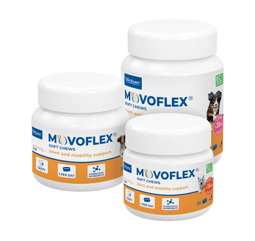 Virbac Movoflex Small 30X2 GR Eklem Desteği