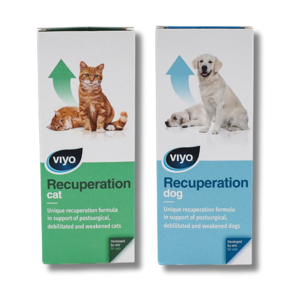 Viyo Recuperation Köpek Ek Besin Takviyesi 150 ML