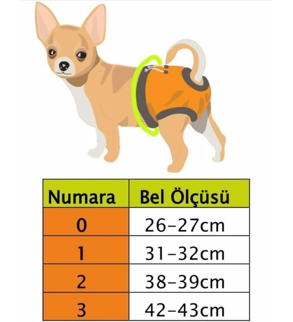Yeşil Kiss Kedi-Köpek Çamaşırı Regl Kilodu ''0'' Beden