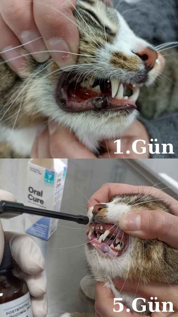 YNC ORAL CURE Ağız ve Diş Bakım Spreyi 30 Ml