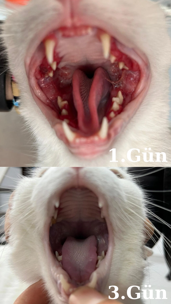 YNC ORAL CURE Ağız ve Diş Bakım Spreyi 30 Ml