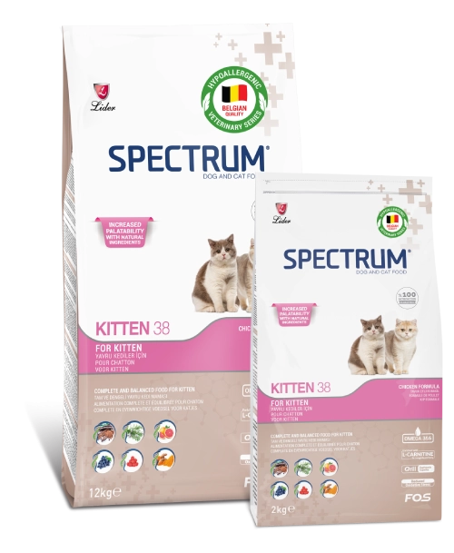 Spectrum Kitten 38 Yavru Kedi Maması 2 Kg