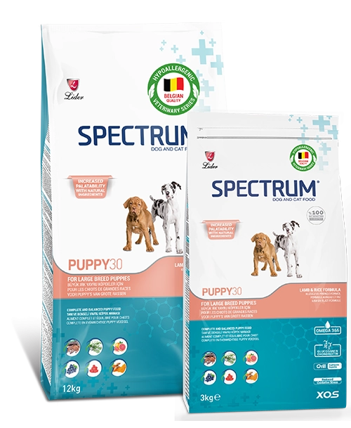 Spectrum Large Breed Puppy 30 Yavru Köpek Maması 12 Kg