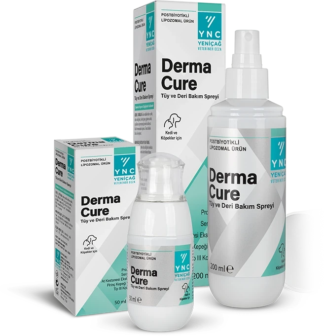 YNC DERMA CURE Tüy ve Deri Bakım Spreyi 200 Ml