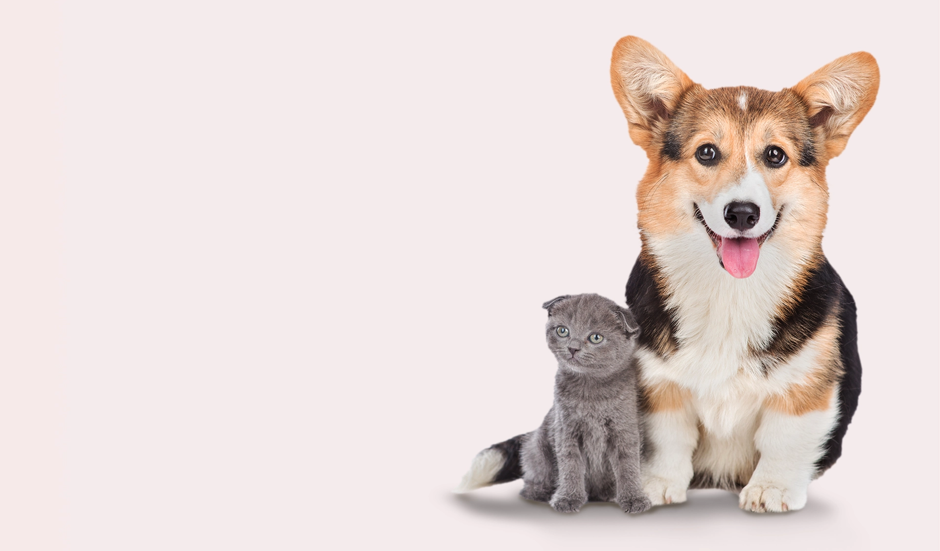 Efsane Yaz Fırsatları